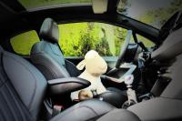 Interieur_Peugeot-208-XY-e-HDi_22
                                                        width=