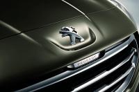 Exterieur_Peugeot-3008-2013-DongFeng_0
                                                        width=