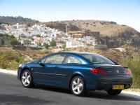 Exterieur_Peugeot-407-Coupe_38