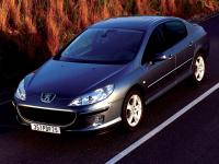 Exterieur_Peugeot-407_37