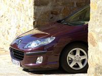 Exterieur_Peugeot-407_43