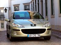 Exterieur_Peugeot-407_71