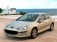 Exterieur_Peugeot-407_55
                                                        width=