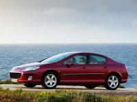 Exterieur_Peugeot-407_42