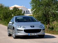 Exterieur_Peugeot-407_34