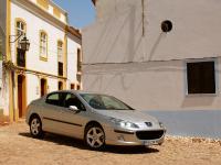 Exterieur_Peugeot-407_19