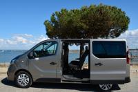 Exterieur_Renault-Trafic-Combi_11
                                                        width=