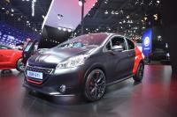 Exterieur_Salons-Peugeot-Mondial-2014_6
                                                        width=