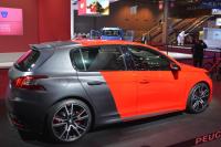 Exterieur_Salons-Peugeot-Mondial-2014_9