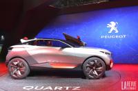 Exterieur_Salons-Peugeot-Mondial-2014_7