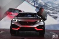 Exterieur_Salons-Peugeot-Mondial-2014_15
                                                        width=