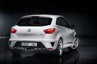 Exterieur_Seat-Ibiza-Cupra-2013_4