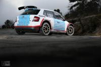 Exterieur_Skoda-Fabia-R5-2017_37
                                                        width=