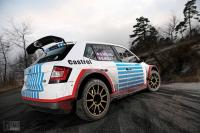 Exterieur_Skoda-Fabia-R5-2017_28
                                                        width=