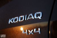 Exterieur_Skoda-Kodiaq-Scout-TDI-190_9
                                                        width=