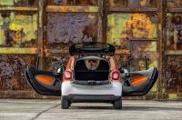 Exterieur_Smart-Fortwo-2014_12
                                                        width=