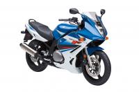 Exterieur_Suzuki-GS-500-F_4