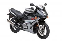 Exterieur_Suzuki-GS-500-F_3
                                                        width=