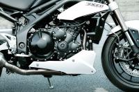 Exterieur_Triumph-Speed-Triple_9
                                                        width=