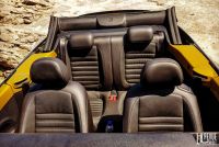 Interieur_Volkswagen-Coccinelle-Dune-Cabriolet_34
                                                        width=