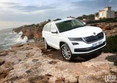 Essai Skoda Kodiaq : l'affranchi des quatre pattes