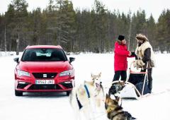 Seat Leon Cupra : 6 huskys contre 300 chevaux