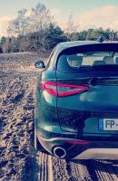 Exterieur_alfa-romeo-stelvio-ti-q4-annee-2021-essai_13
                                                        width=