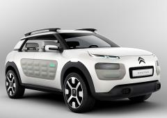 Citroen cactus du genre hybride 