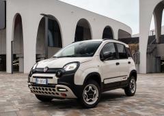 Exterieur_fiat-panda-4x400-40-ans-de-crapahutage_2
                                                        width=