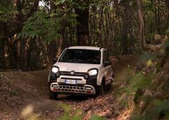 Exterieur_fiat-panda-4x400-40-ans-de-crapahutage_4
                                                        width=