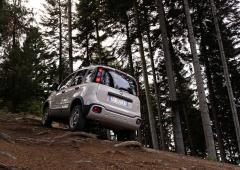 Exterieur_fiat-panda-4x400-40-ans-de-crapahutage_5