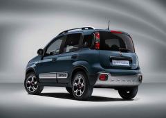 Imageprincipalede la gallerie: Exterieur_fiat-panda-city-cross-annee-2021_0