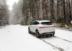 Exterieur_jaguar-e-pace-240d-awd_3
                                                        width=