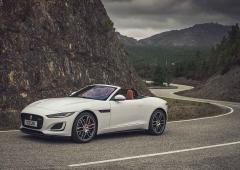 Exterieur_jaguar-f-type-p450-roadster-essai_0
                                                                        width=