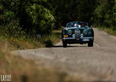 Exterieur_mille-miglia-2021-nous-avons-suivi-la-course-en-alfa-romeo-giulia-gta_4
                                                        width=