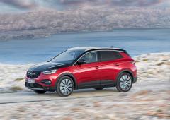 Exterieur_opel-grandland-x-hybrid4-les-genes-de-l-hybride_7
                                                        width=