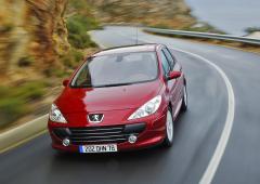 Galerie peugeot 307 