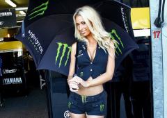 Nouvelles photos sexy babe monster energy 