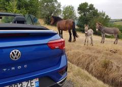 Interieur_essai-volkswagen-t-roc-cabriolet-tsi-style-voici-le-roadtrip-en-pays-cathare-du-suv-cab-de-vw_1
                                                        width=