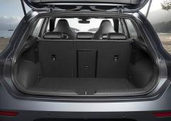 Interieur_comparatif-cupra-leon-300-et-sportstourer-310_0