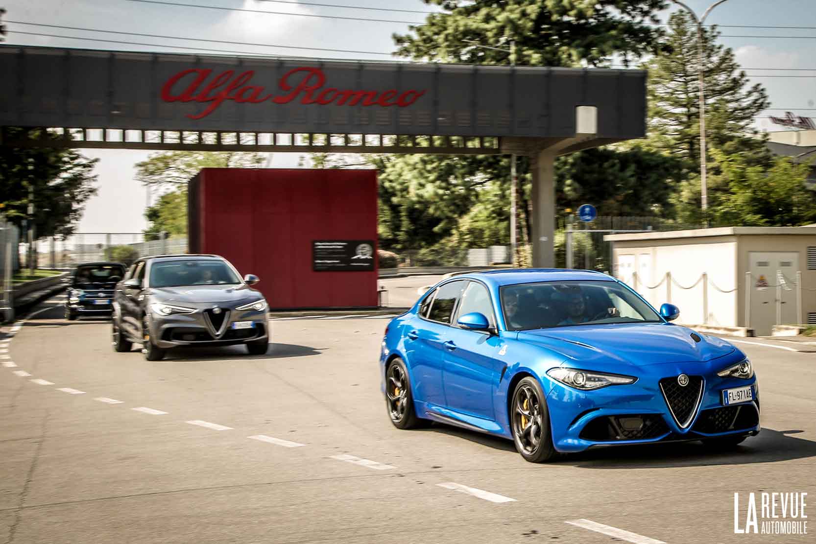 Alfa-Romeo Quadrifoglio-Verde