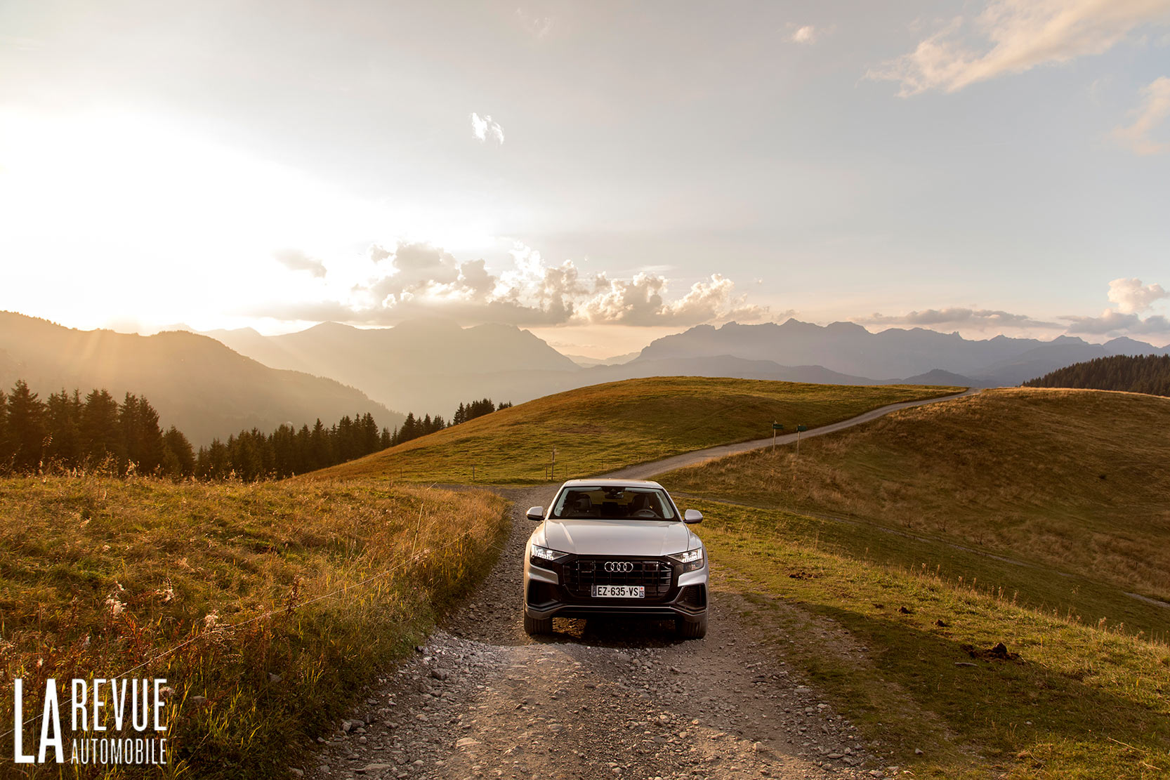 Audi Q8 50 TDI