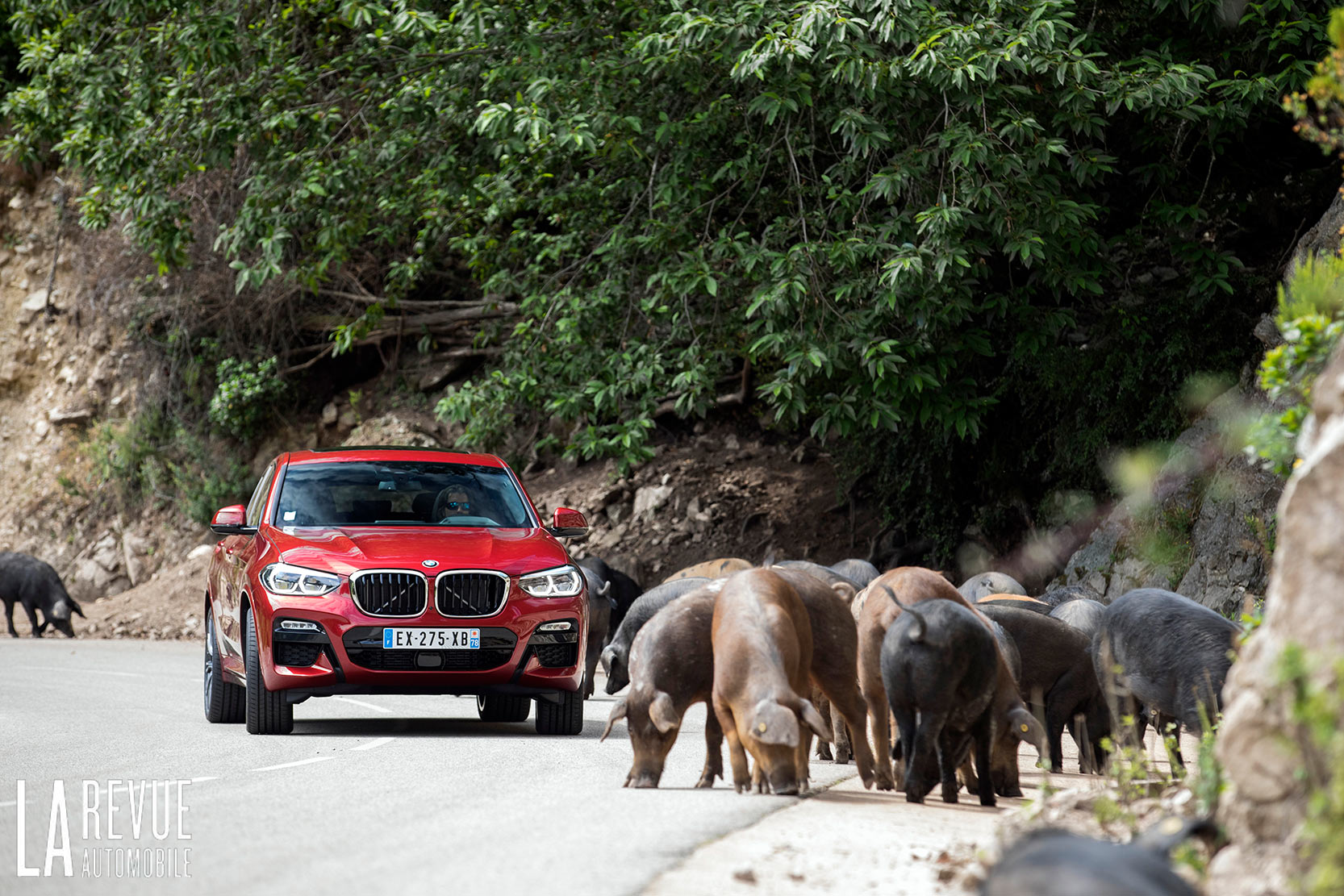 BMW X4 20d M Sport