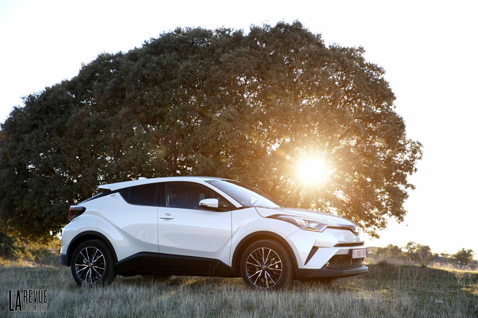 Image principale de l'actu: Toyota c hr le suv compact hybride en location chez avis 