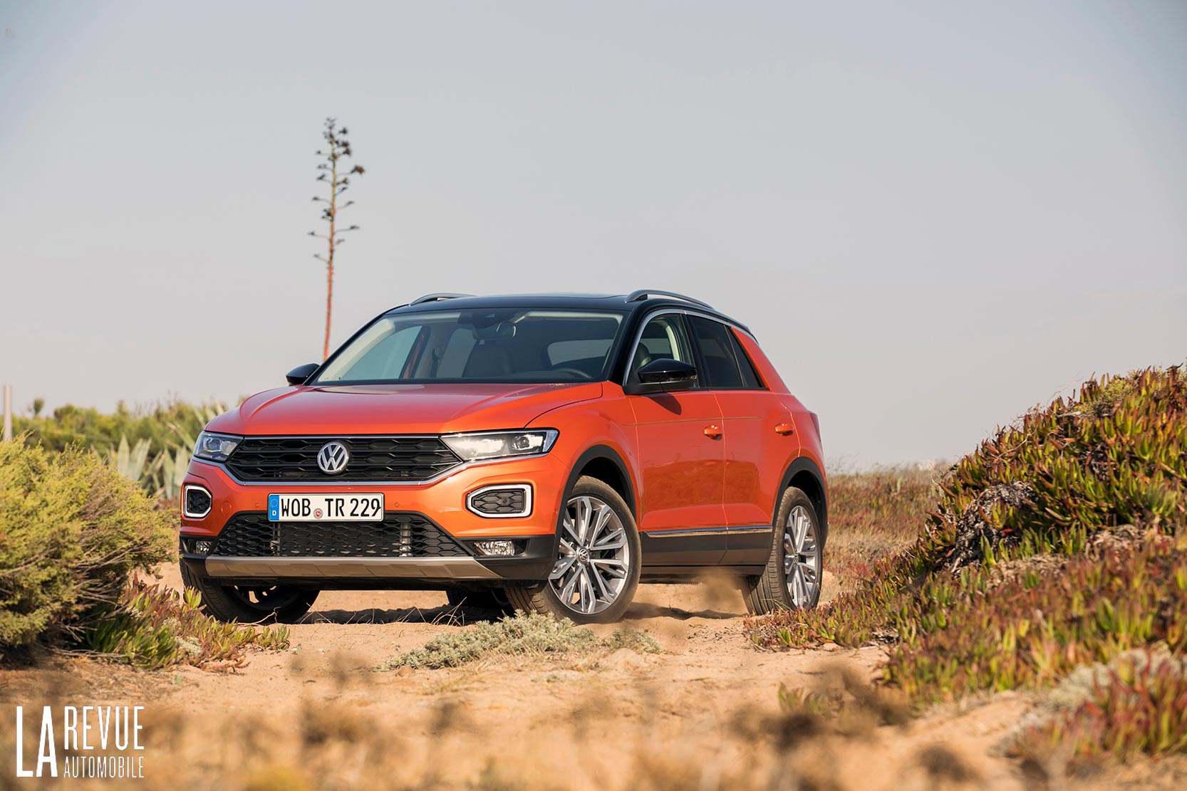 Image principale de l'actu: Essai Volkswagen T-Roc : qui peut le moins peut le plus