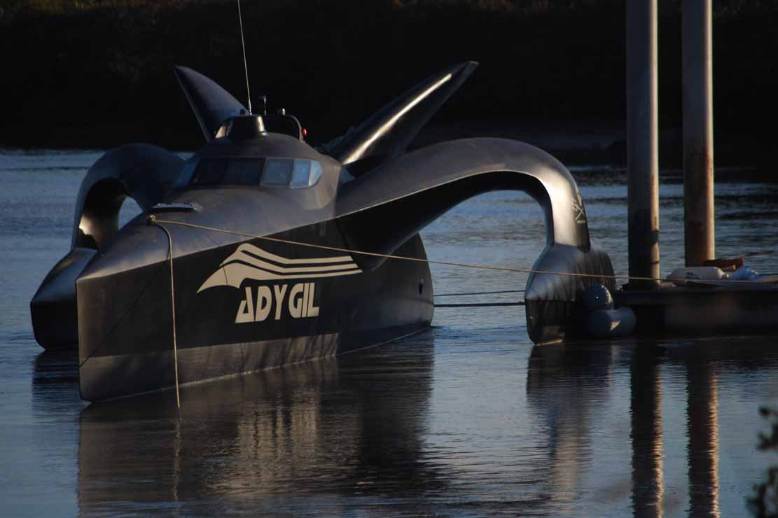 Ady gil un monstre sauveur de baleine 